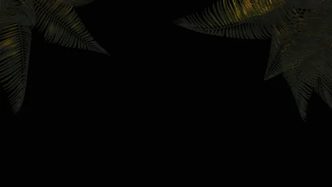 3d animation. Palm tree branch on a transparent background in the wind . Stock Footage 122572993