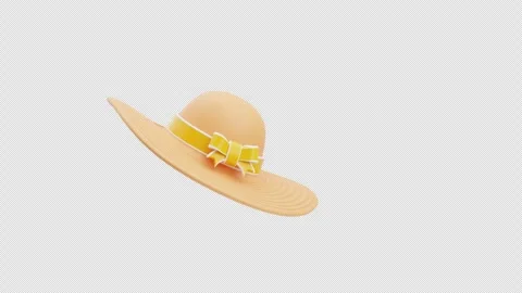 3D Animation of Pamela Hat Stock Footage 310831780