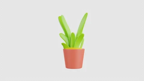 3D Animation of Pot Plant Stock Footage 293453730