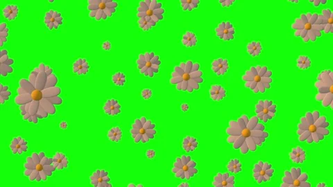 3d Animation of randomly rotating colorful flowers - chamomile. 스톡 동영상 268577596