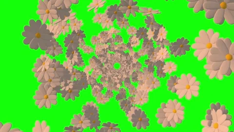 3d Animation of randomly rotating colorful flowers - chamomile. 스톡 동영상 268577602