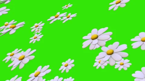 3d Animation of randomly rotating colorful flowers - chamomile. 스톡 동영상 268577633