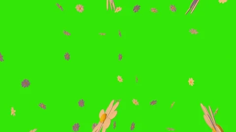 3d Animation of randomly rotating colorful flowers - chamomile. 스톡 동영상 268577646