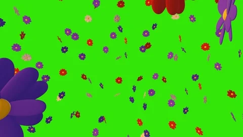 3d Animation of randomly rotating colorful flowers - chamomile. Stock Footage 268577647