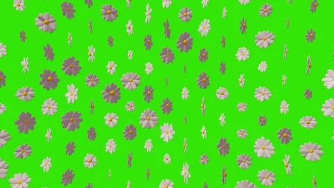3d Animation of randomly rotating colorful flowers - chamomile. 스톡 동영상 268577649