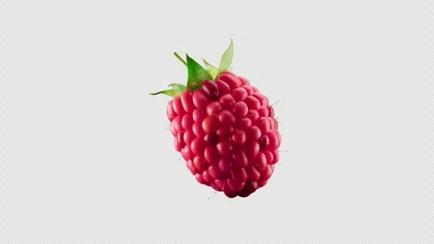 3D animation of a raspberry rotating around its axis. Alpha Channel. Stock Footage 285163150