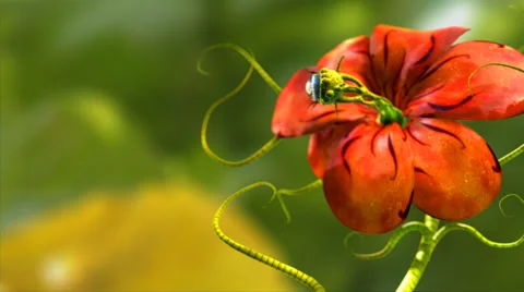 3D animation of a red alien flower with a blue eye looking around. Stock Footage 44559509