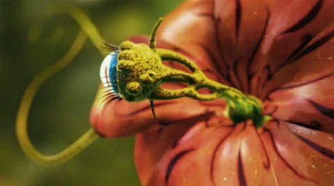 3D animation of a red alien flower  with a blue eye looking around. Stock Footage 68560134