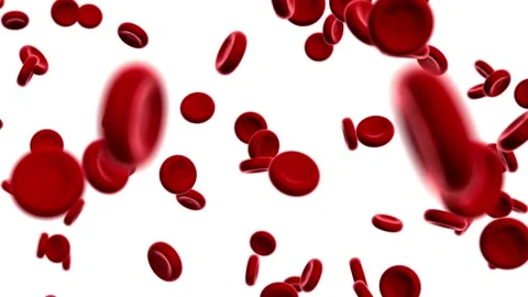 3D animation of red blood cell vein and artery. Health care. Loop animation Vídeo Stock 334589111