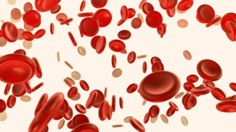 3D animation of red blood cell vein and artery. Health care. Loop animation Vídeo Stock 334589137