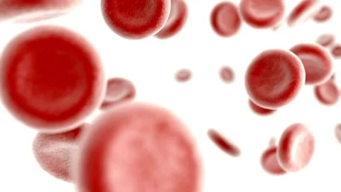 3D animation of red blood cell vein and artery. Health care. Loop animation Vídeo Stock 334589169