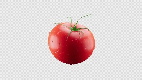 3D animation of a red tomato rotating around its axis. Alpha channel. Stock Footage 285171985