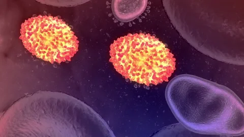3D animation render of pox virus in color background. The idea of pandemic, a Stock Footage 195109074