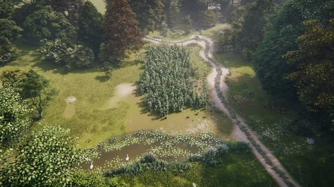 3d animation render of Summer forest, lake, lilies, swan, duck - 8 Stock Footage 128025233