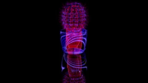 3D animation rendering, cactus in a pot model on a black background Stock Footage 257257546