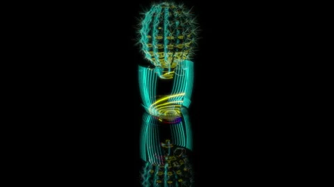 3D animation rendering, cactus in a pot model on a black background Stock Footage 257588604
