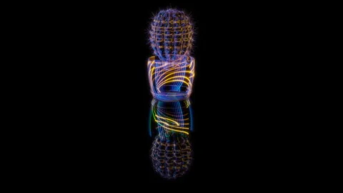 3D animation rendering, cactus in a pot model on a black background Stock Footage 257820898