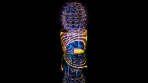 3D animation rendering, cactus in a pot model on a black background Stock Footage 258554711