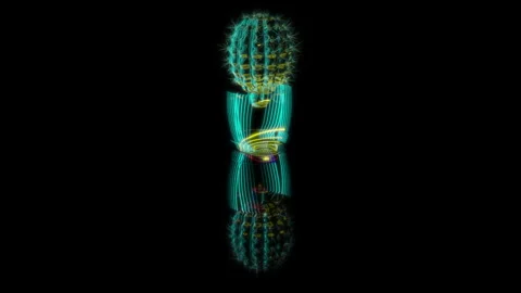 3D animation rendering, cactus in a pot model on a black background Video stock 258853669