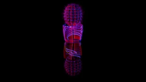 3D animation rendering, cactus in a pot model on a black background Video stock 259046460