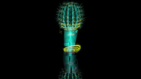 3D animation rendering, cactus in a pot model on a black background Stock Footage 259513759