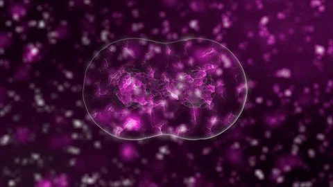 3D animation rendering of a coronavirus. Pathogen outbreak of bacteria and virus Stock Footage 130038570