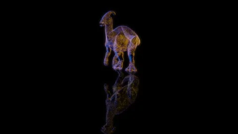3D animation rendering, dinosaur model on a black background Stock Footage 257824069
