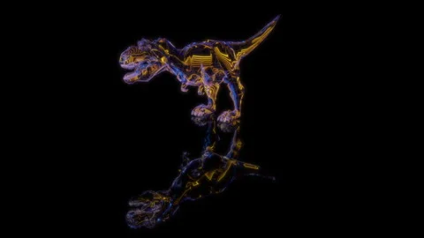 3D animation rendering, dinosaur rex model on a black background Stock Footage 257821080