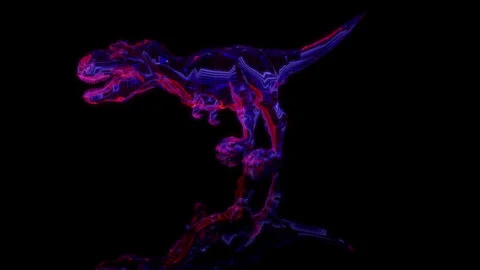 3D animation rendering, dinosaur rex model on a black background Stock Footage 258226641