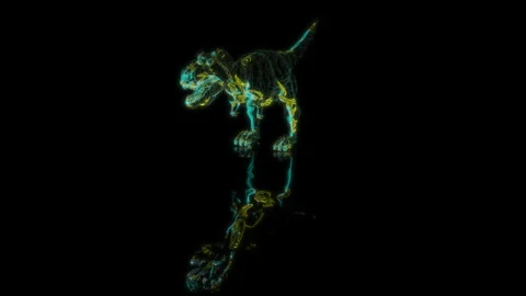 3D animation rendering, dinosaur rex model on a black background Video stock 258853985