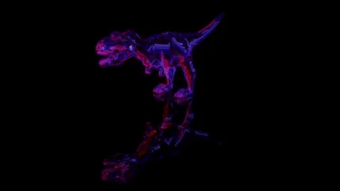 3D animation rendering, dinosaur rex model on a black background Video stock 259046731