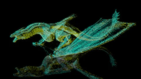 3D animation rendering, dragon model on a black background Stock Footage 257591128