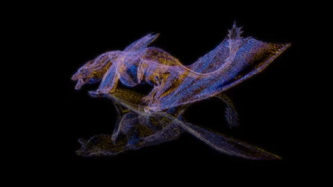 3D animation rendering, dragon model on a black background Stock Footage 257822211