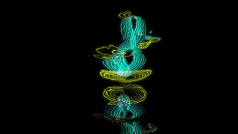 3D animation rendering, duck model on a black background Stock Footage 256027169