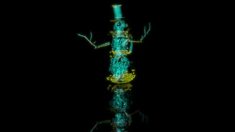 3D animation rendering, snowman model on a black background Stock Footage 259515391