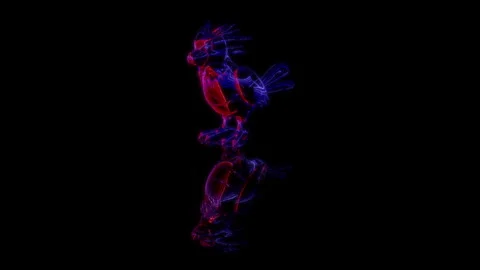 3D animation rendering, sparrow model on a black background Stock Footage 255483766