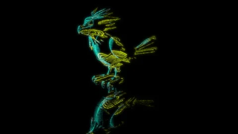 3D animation rendering, sparrow model on a black background Stock Footage 255663035