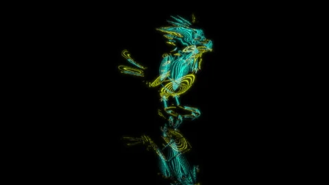 3D animation rendering, sparrow model on a black background Stock Footage 256027067