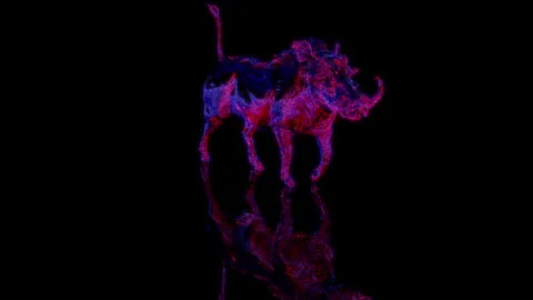 3D animation rendering, a wild boar model on a black background Stock Footage 257255634
