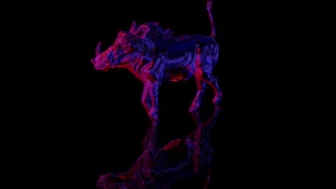 3D animation rendering, a wild boar model on a black background Stock Footage 258227681