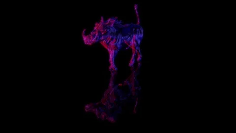 3D animation rendering, a wild boar model on a black background Video stock 259048556