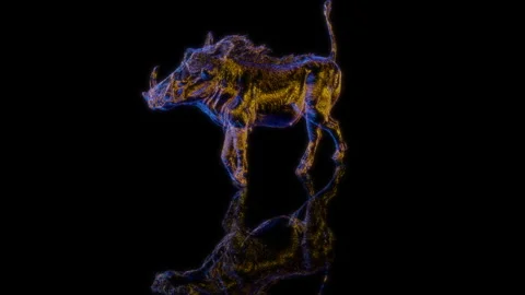 3D animation rendering, a wild boar model on a black background Stock Footage 259810646