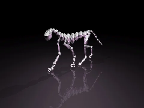 3d animation of robotic quadruped walking, Camera orbits scene. Stock Footage 78433655