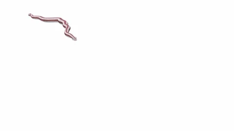 3d animation of Rosy Boa Stock Footage 241259308