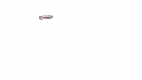 3d animation of Rosy Boa Stock Footage 241259329