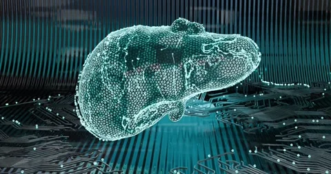3D animation rotating abstract liver with neon illumination with digital sca Stock Footage 310306274