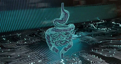 3D animation rotating abstract low-poly frame of digestive system organs wit Stock Footage 315852767