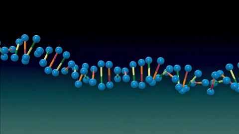 3D Animation of Rotating DNA Double Helix Strand Stock Footage 337978033