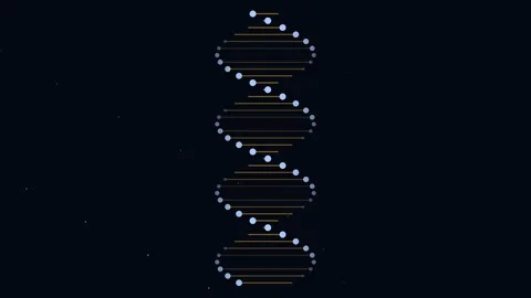 3D Animation of a Rotating DNA Double Helix Stock Footage 344247795