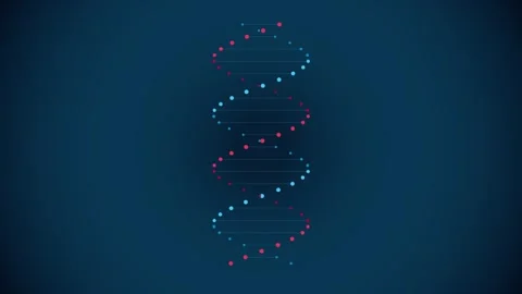 3D animation of rotating DNA strand in 4K Stock Footage 344809757